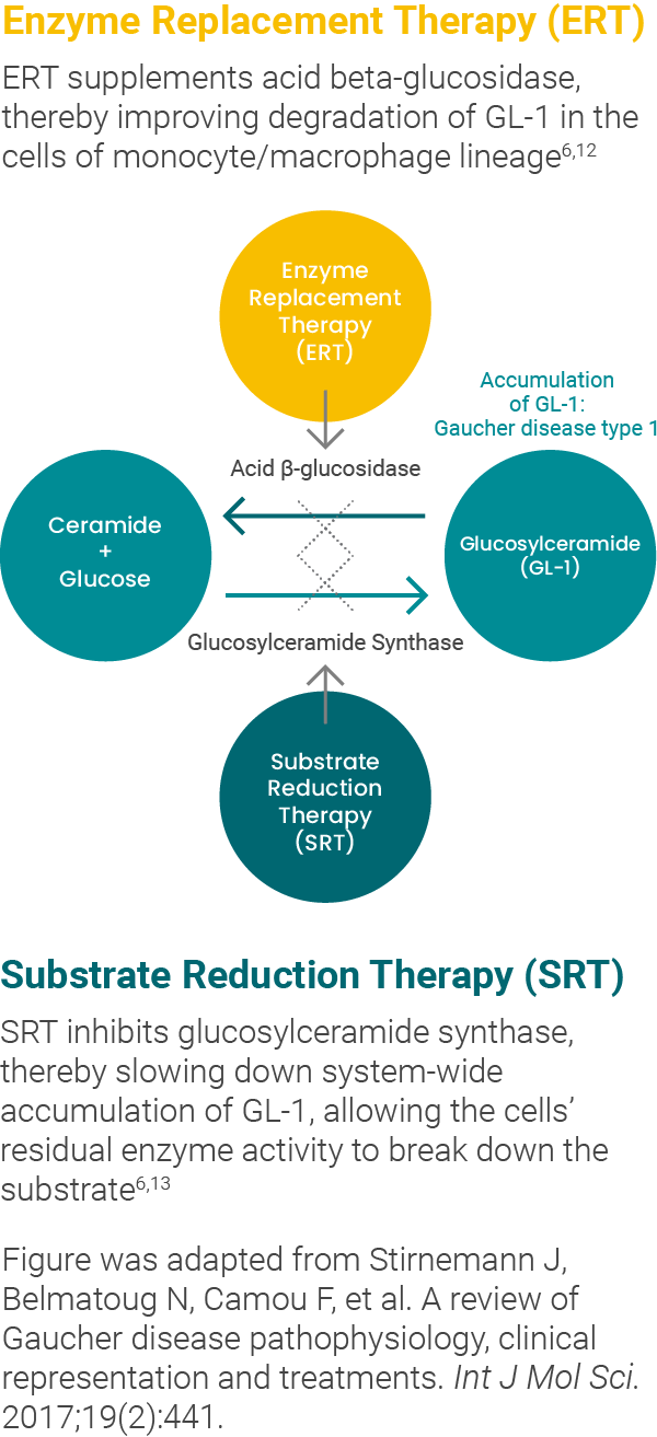 Enzyme replacement therapy, substrate reduction therapy